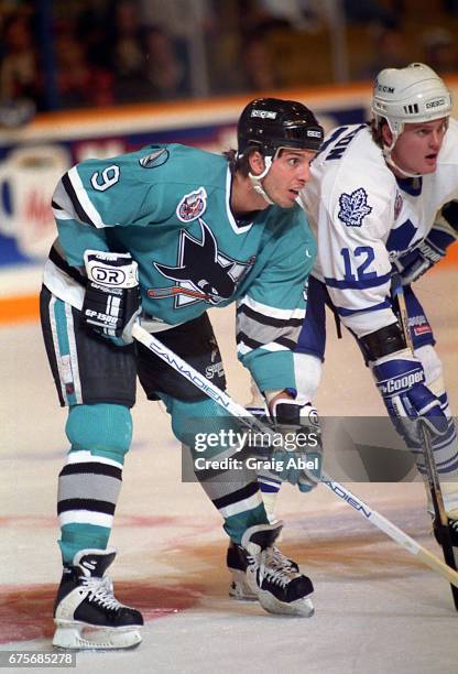 Brian Lawton of the San Jose Sharks prepares for the face-off against Rob Pearson of the Toronto Maple Leafs on October 24, 1992 at Maple Leaf...