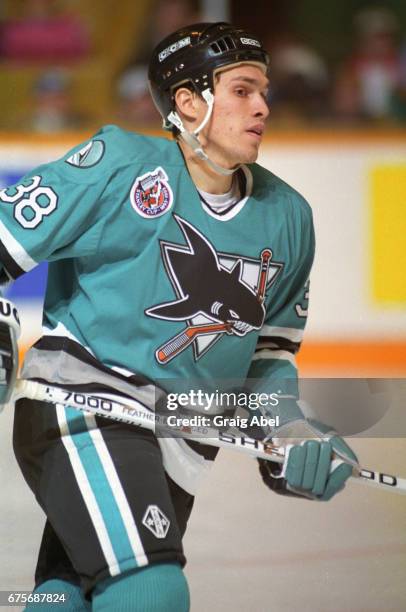 Pat MacLeod of the San Jose Sharks the Toronto Maple Leafs on October 24, 1992 at Maple Leaf Gardens in Toronto, Ontario, Canada.