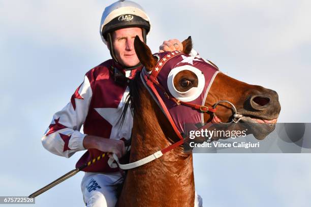 Brad Rawiller riding Royal Ace after winning Race 10 during the Warrnambool Racing Carnival on May 2, 2017 in Warrnambool, Australia.