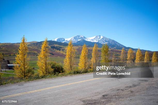 road aspen in line mount sopris, colorado - carbondale colorado bildbanksfoton och bilder