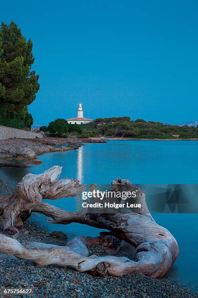 root on beach with faro de alcanada lighthouse - lighthouse mallorca stock pictures, royalty-free photos & images