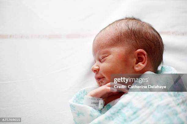 a newborn at maternity ward - newborn fotografías e imágenes de stock