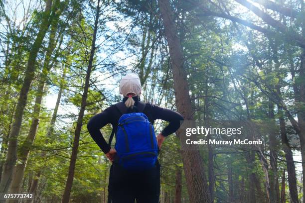 seniors taking on the world - murray mccomb stock pictures, royalty-free photos & images