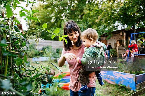 young mother with child in community garden - jardín de la comunidad fotografías e imágenes de stock