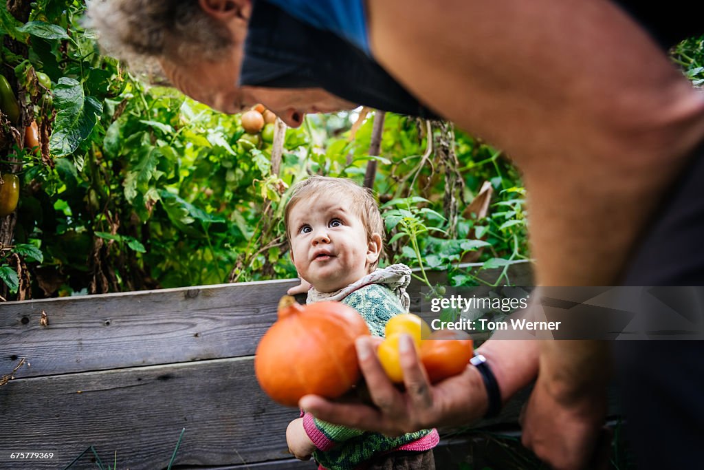 Father and son in garden