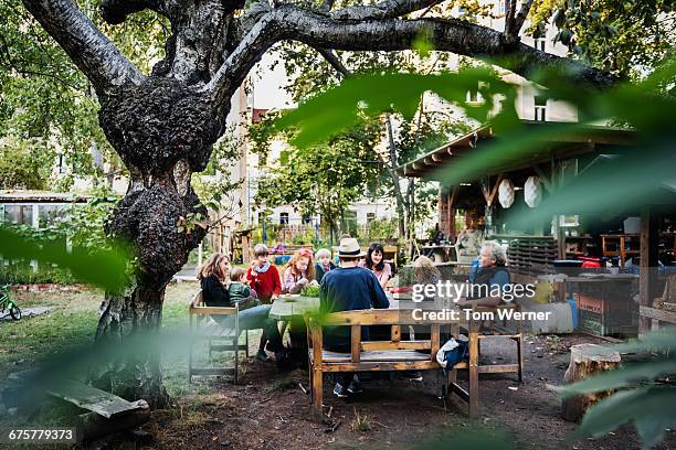 group of young people sitting in community garden - jardín urbano fotografías e imágenes de stock