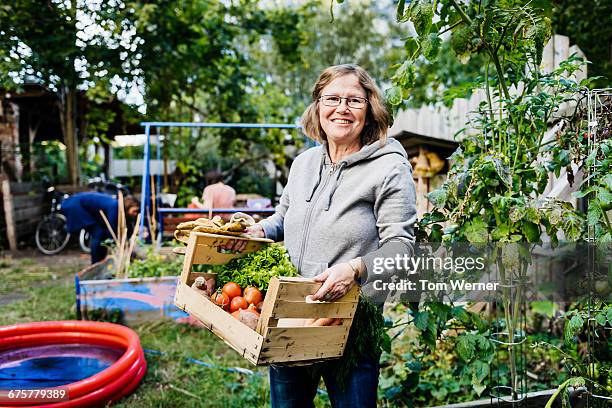 portrait of senior woman in community garden - self sufficiency fotografías e imágenes de stock