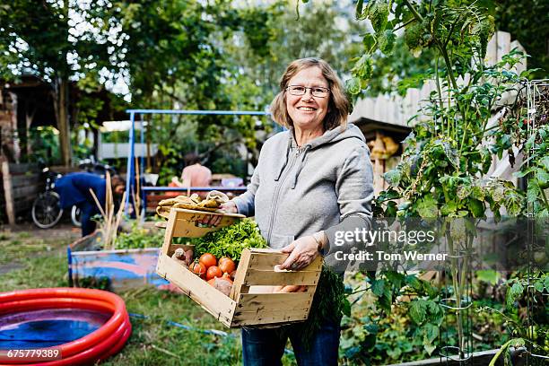 portrait of senior woman in community garden - community garden stockfoto's en -beelden