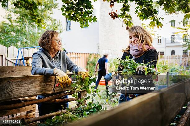 women working together in a community garden - urban garden stockfoto's en -beelden