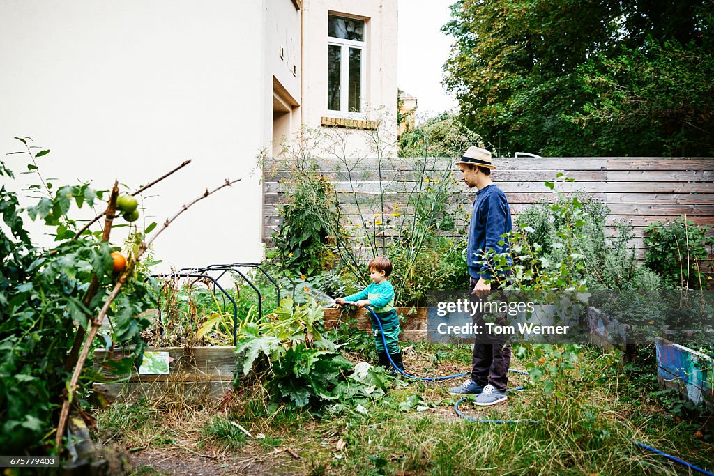 Father and son watering raised bed in garden