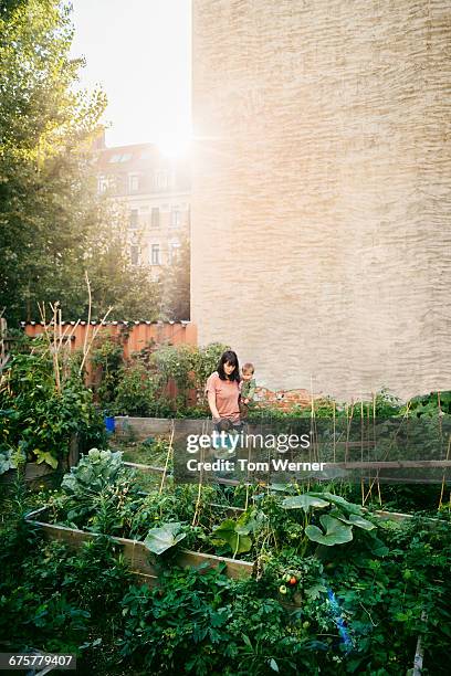 Mother and her children in a community garden