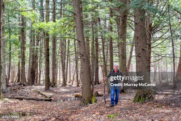 seniors taking on the world - murray mccomb stock pictures, royalty-free photos & images