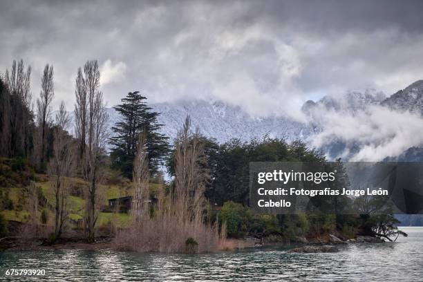 winter mood over the shores of lake todos los santos during de andean lake crossing - árbol de hoja caduca stock-fotos und bilder