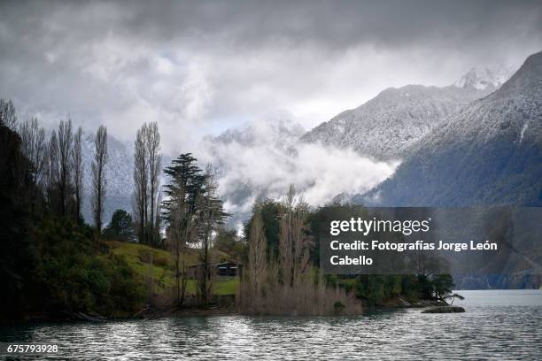 winter mood over the shores of lake todos los santos during de andean lake crossing - árbol de hoja caduca 個照片及圖片檔