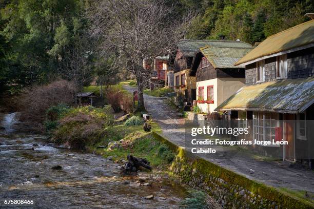 peulla village and la novia creek in winter - árbol stockfoto's en -beelden