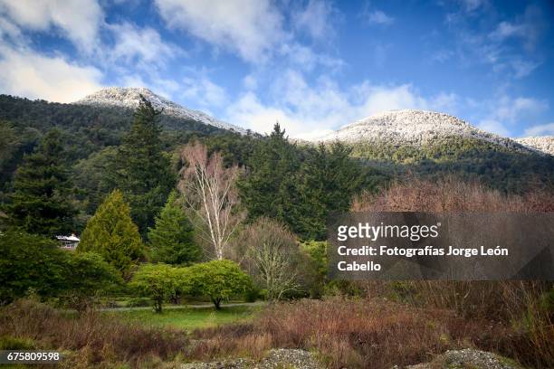 winter landscape with forest and snocapped mountains in peulla - luz del sol stock pictures, royalty-free photos & images