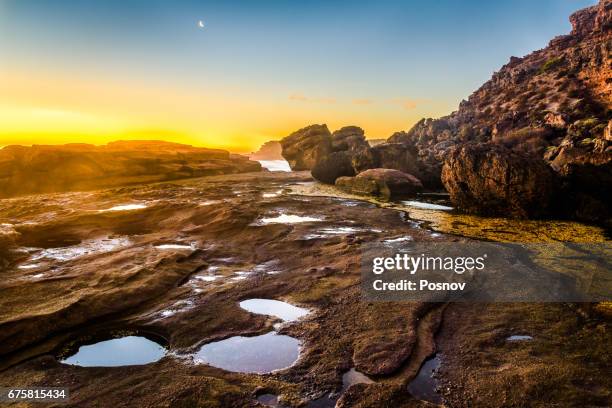 talia caves coastline at eyre peninsula, south australia - kangaroo island stock pictures, royalty-free photos & images