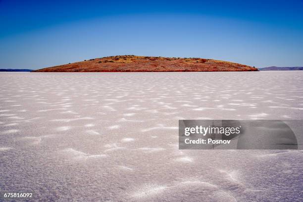 lake gairdner - lago salgado imagens e fotografias de stock
