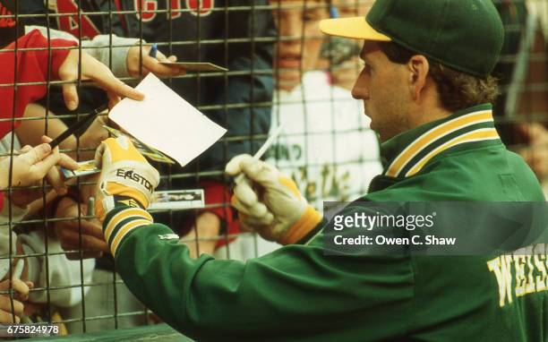 Walt Weiss of the Oakland A's circa 1988 signs autographs before a game against the California Angels at the Big A in Anaheim, California.