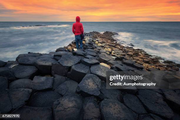 sunset at the giants causeway in northern ireland. - giants causeway stock-fotos und bilder