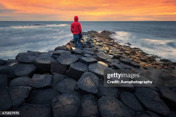 sunset at the giants causeway in northern ireland. - giants causeway stock pictures, royalty-free photos & images