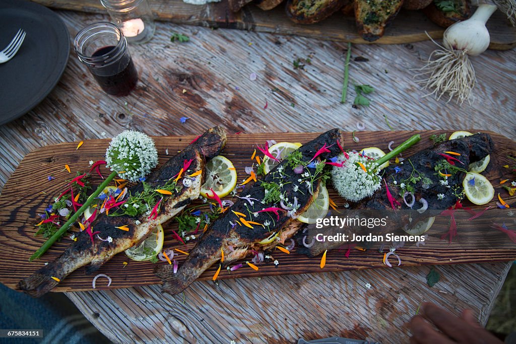 Fresh fish on a cedar plank