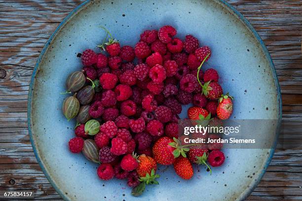 a bowl of fresh berries from a garden - grosella fotografías e imágenes de stock