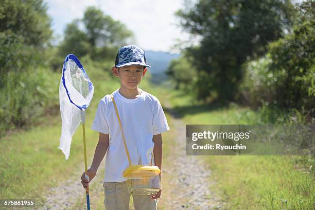 summer vacation, memories, countryside - butterfly net stock pictures, royalty-free photos & images