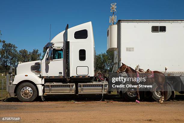 rodeo horse and semi trailer - australian light horse stock pictures, royalty-free photos & images