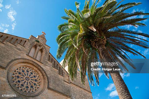church fassade and palm tree - rose window stock pictures, royalty-free photos & images