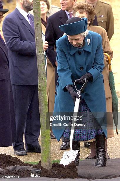 Queen Elizabeth II plants a sweet chestnut tree in Rotten Row in Hyde Park, London, 18th March 2002.