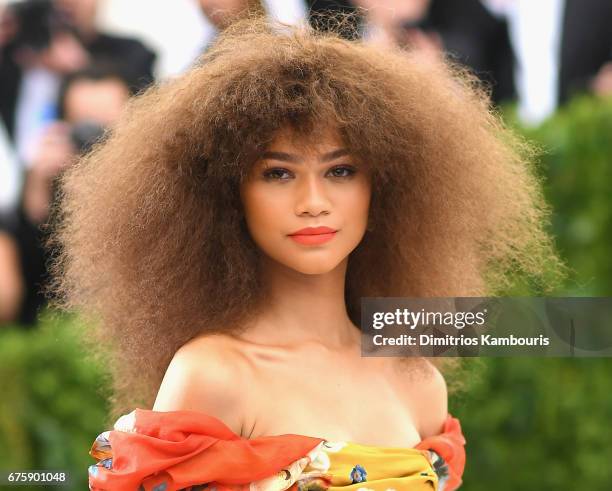 Zendaya attends the 'Rei Kawakubo/Comme des Garcons: Art Of The In-Between' Costume Institute Gala at Metropolitan Museum of Art on May 1, 2017 in...