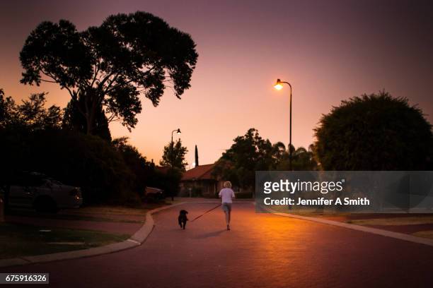 a young boy and his puppy - street light stock pictures, royalty-free photos & images