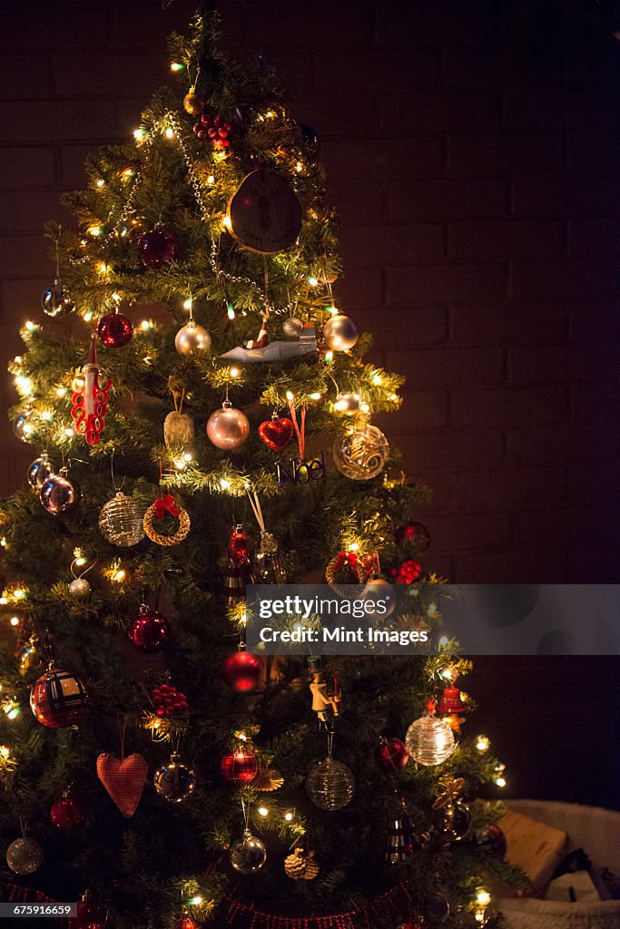 Christmas decorations. A traditional real Christmas tree, decorated with lights. 