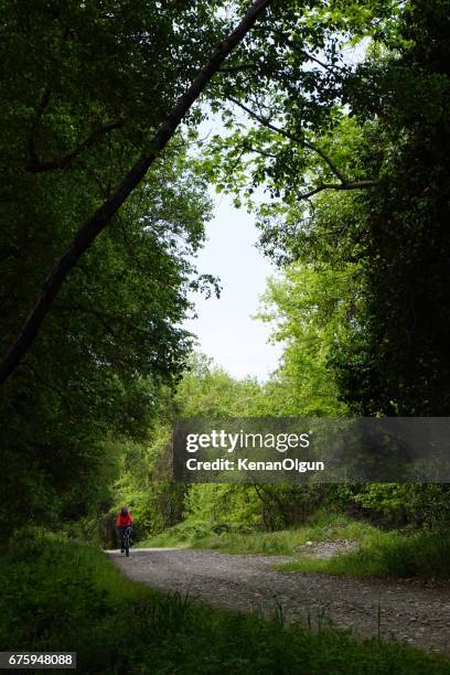 woman riding bicycle on the forest road - liquidambar orientalis stock pictures, royalty-free photos & images