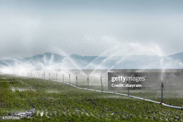 irrigazione irrigazione irrigazione irrigazione colture su terreni agricoli fertili - annaffiatore foto e immagini stock