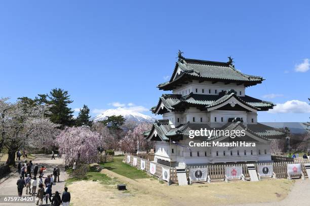 Cherry blossoms are in full bloom at Hirosaki Castle Park on May 1, 2017 in Hirosaki, Aomori, Japan.