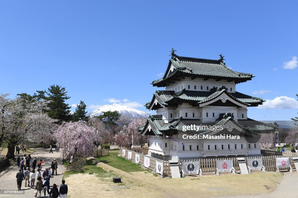 People Enjoy Cherry Blossom At Hirosaki Castle
