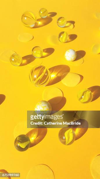 all yellow... - catherine macbride stock-fotos und bilder