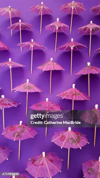 purple parasol - cocktail umbrella stock-fotos und bilder
