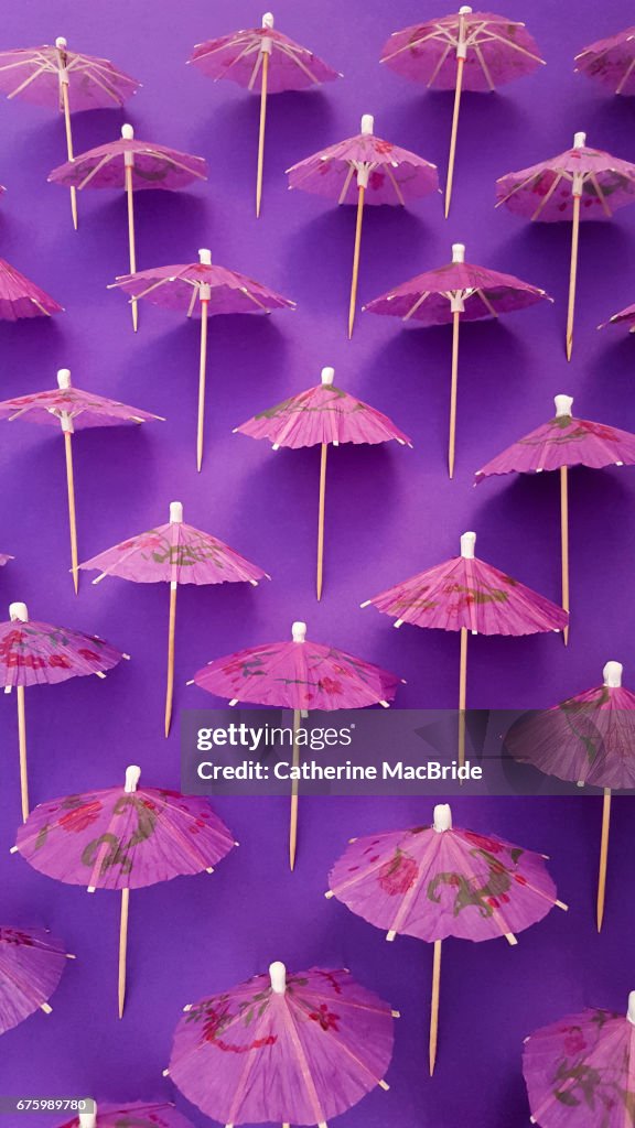 Purple Parasol