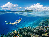 Woman swims around coral reef surrounded by multitude of fish.