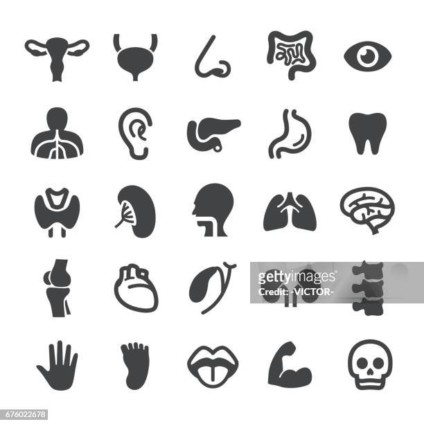 menschliches organ icons - smart-serie - dickdarm verdauungstrakt stock-grafiken, -clipart, -cartoons und -symbole