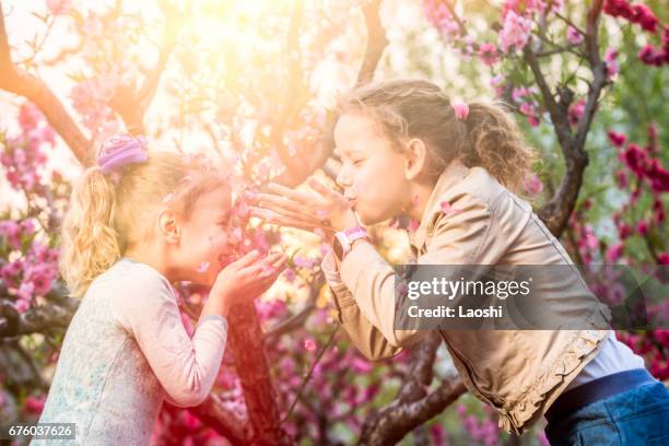 children playing together outdoors - laoshi stock pictures, royalty-free photos & images