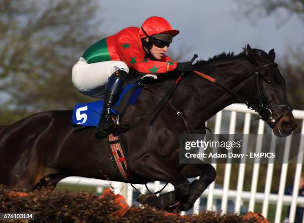 120 Rosemary Hunt Stock Photos, High-Res Pictures, and Images - Getty ...