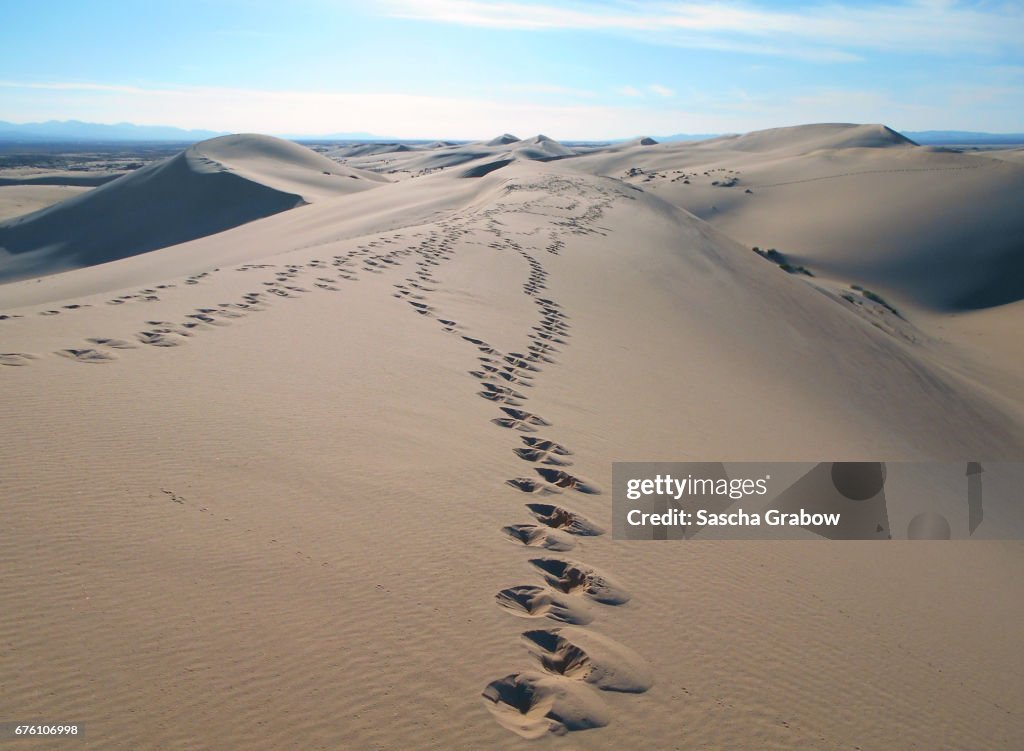 Algerian Sahara Dunes