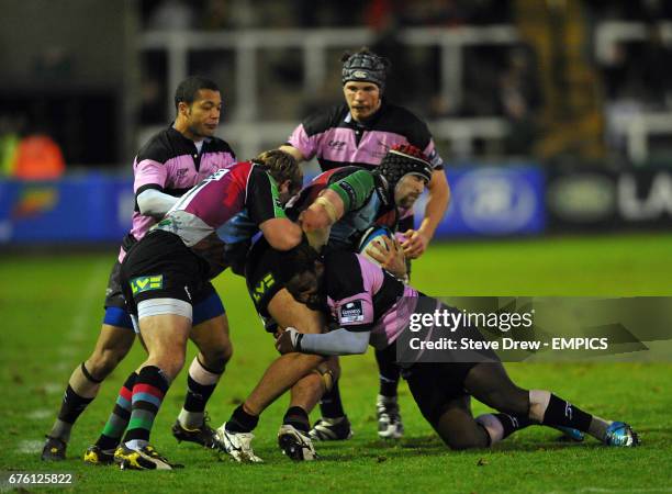 George Robson 304 George Robson Rugby Player Stock Photos, High-Res Pictures, and ...