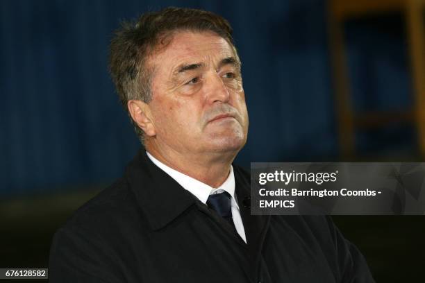 Radomir Antic, Serbia manager