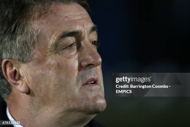 Radomir Antic, Serbia manager