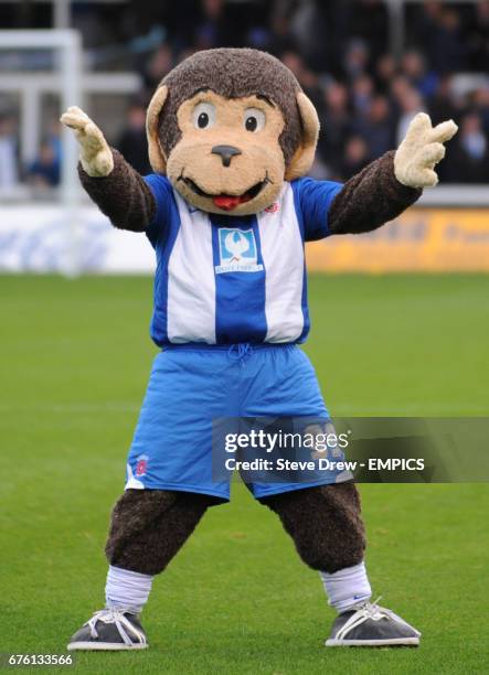57 Hartlepool Monkey Stock Photos, High-Res Pictures, and Images ...